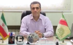 امین معتمدی نسب 2
